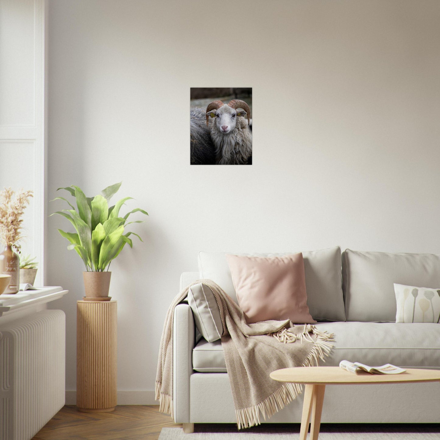 Norsk Villsau - Fotokunst - Plakat - poster - fotografi