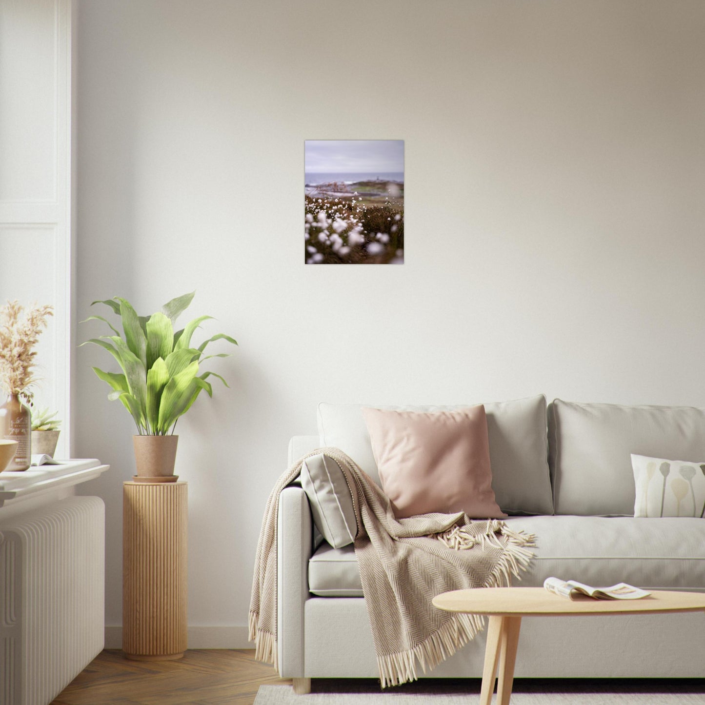 Fotografi av myrull tatt langs kysten på sunnmøre. Plakat - Poster - 40 x 50
