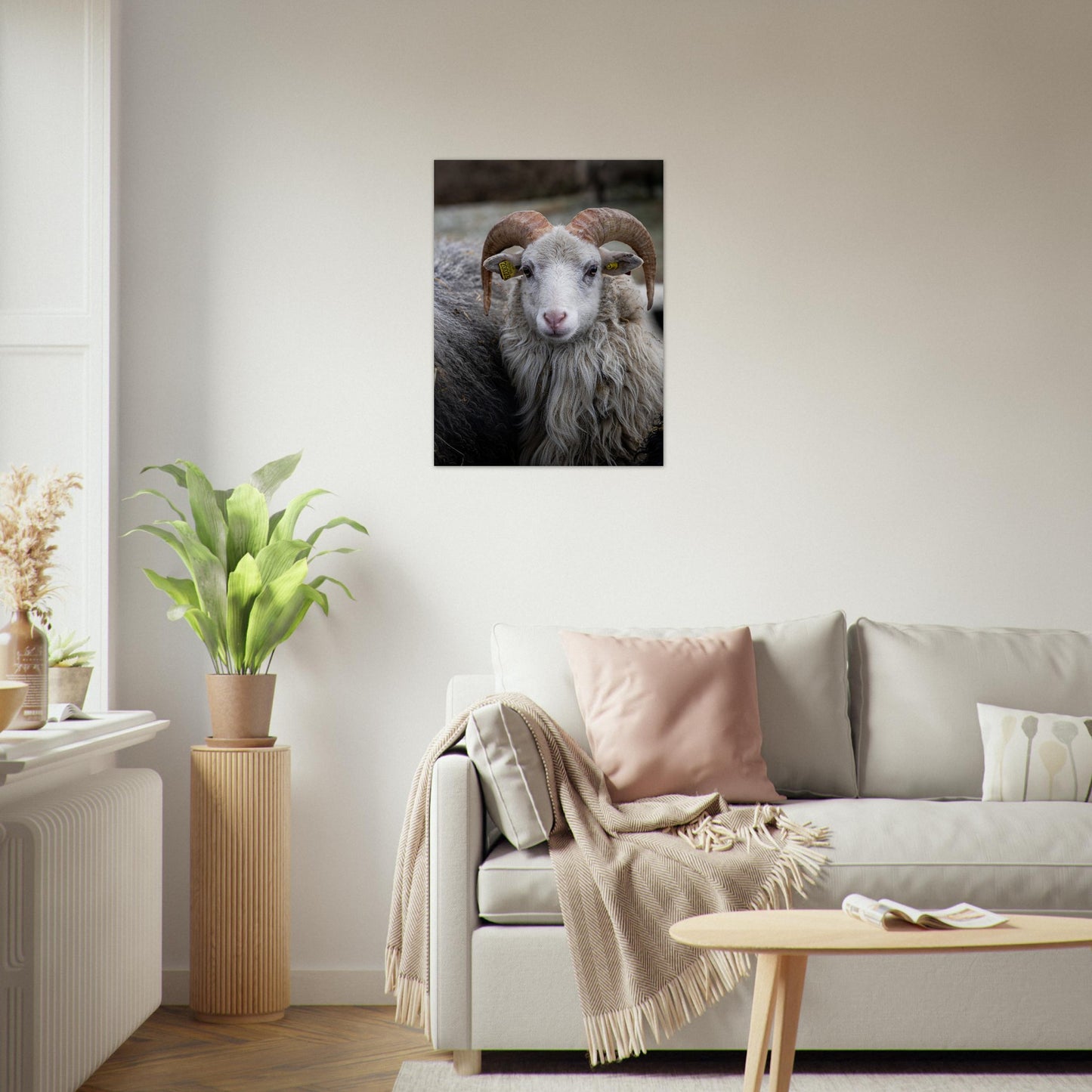 Norsk Villsau - Fotokunst - Plakat - poster - fotografi