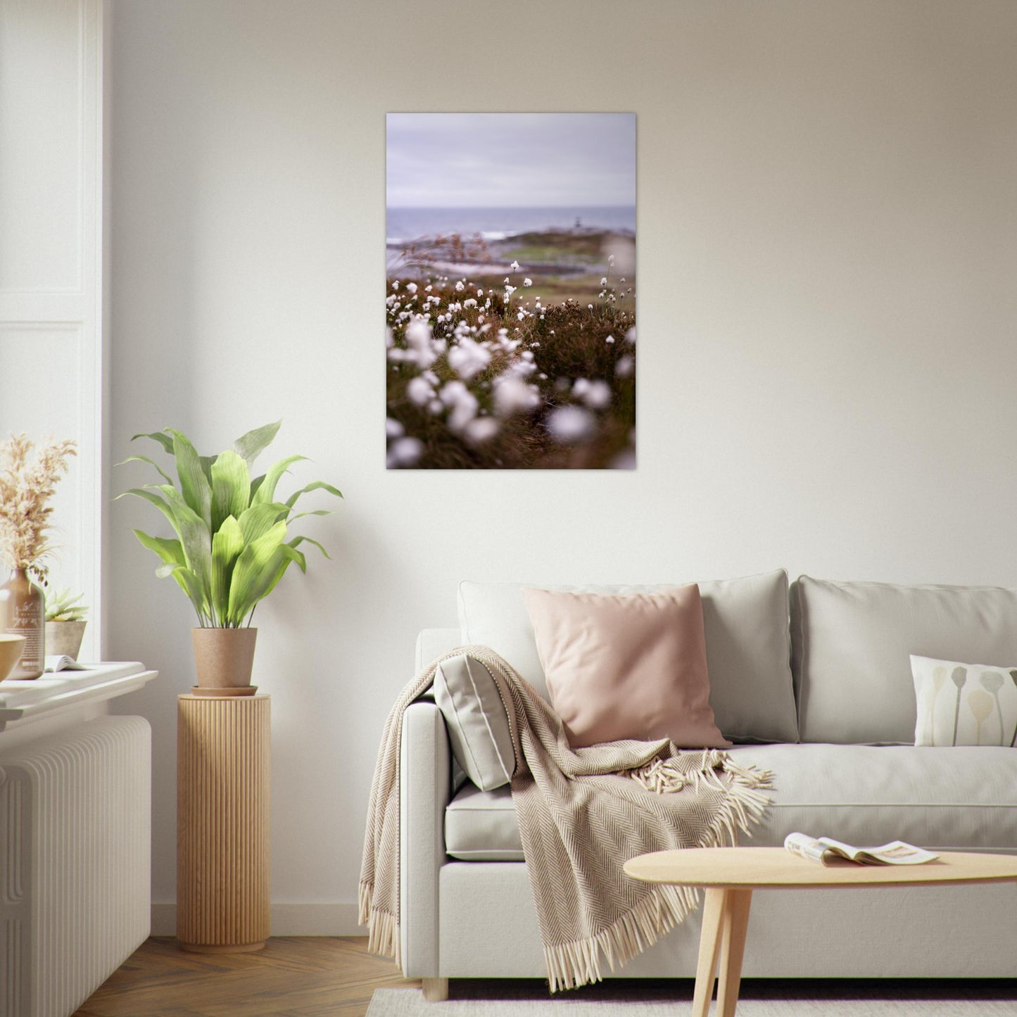 Fotografi av myrull tatt langs kysten på sunnmøre. Plakat - Poster - 70 x 100
