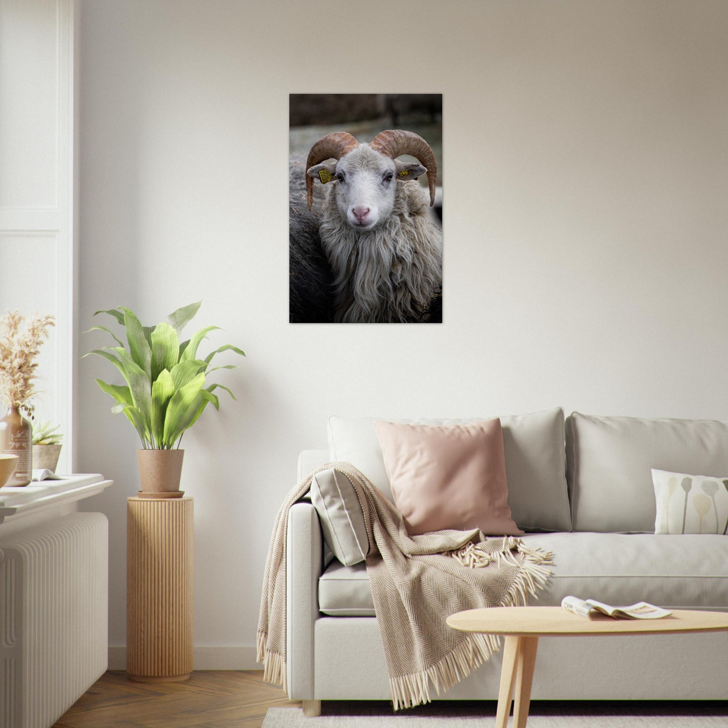 Norsk Villsau - Fotokunst - Plakat - poster - fotografi