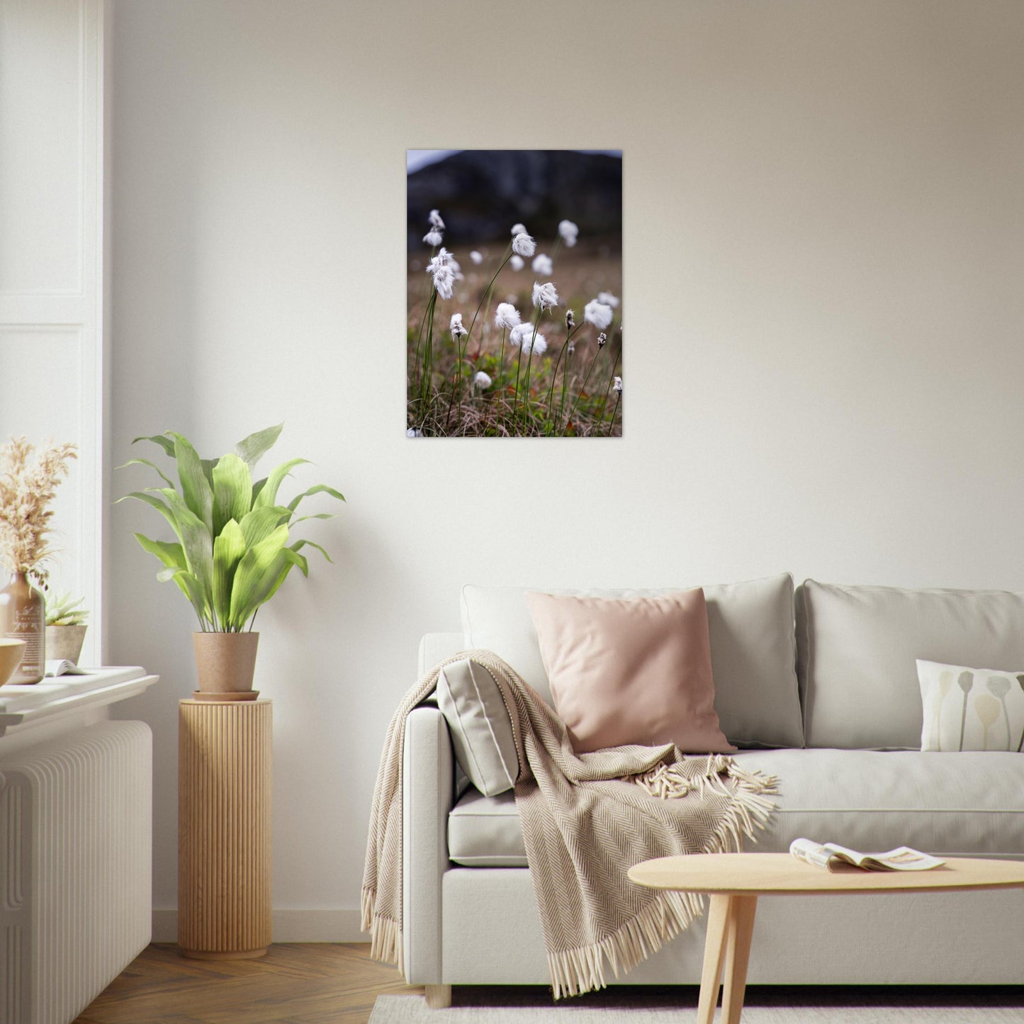 Fotografi av myrull - poster - plakat 60x80