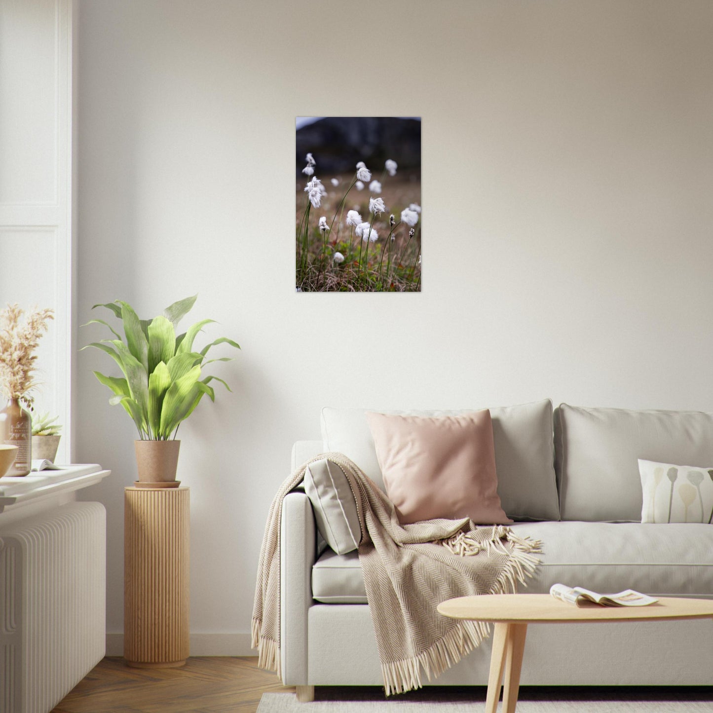Fotografi av myrull - poster - plakat 50x70