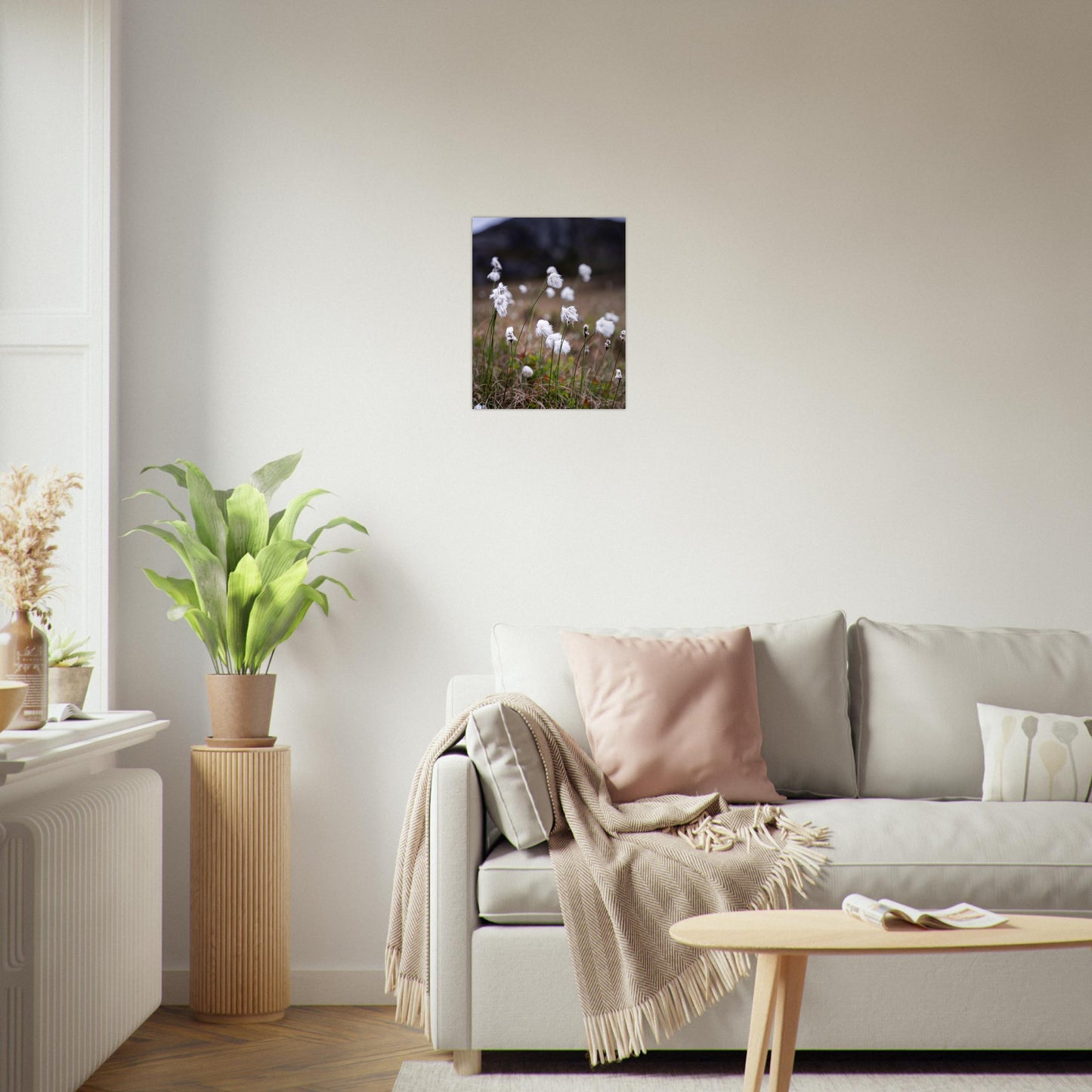 Fotografi av myrull - poster - plakat 50x40