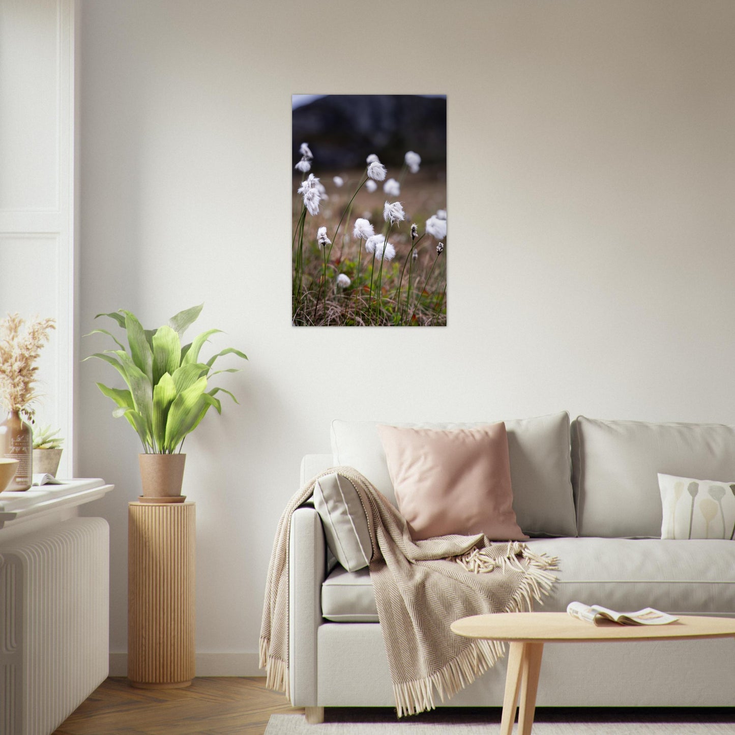 Fotografi av myrull - poster - plakat 60x90
