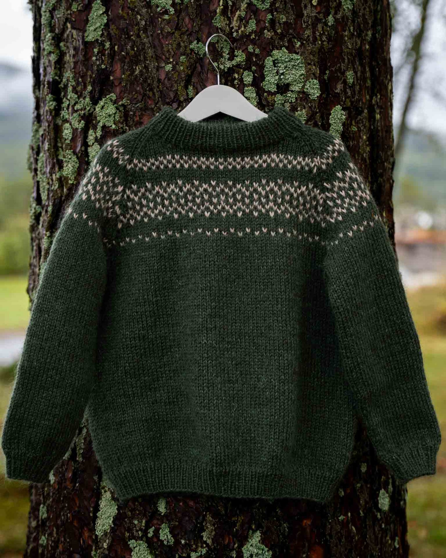 En myk og deilig genser som strikkes nedenfra og opp med raglanfellinger.
Genseren strikkes i dobbelt eller trippelt garn med  et lekkert lusemønster. Her i en tøff grønnfarge for gutter.