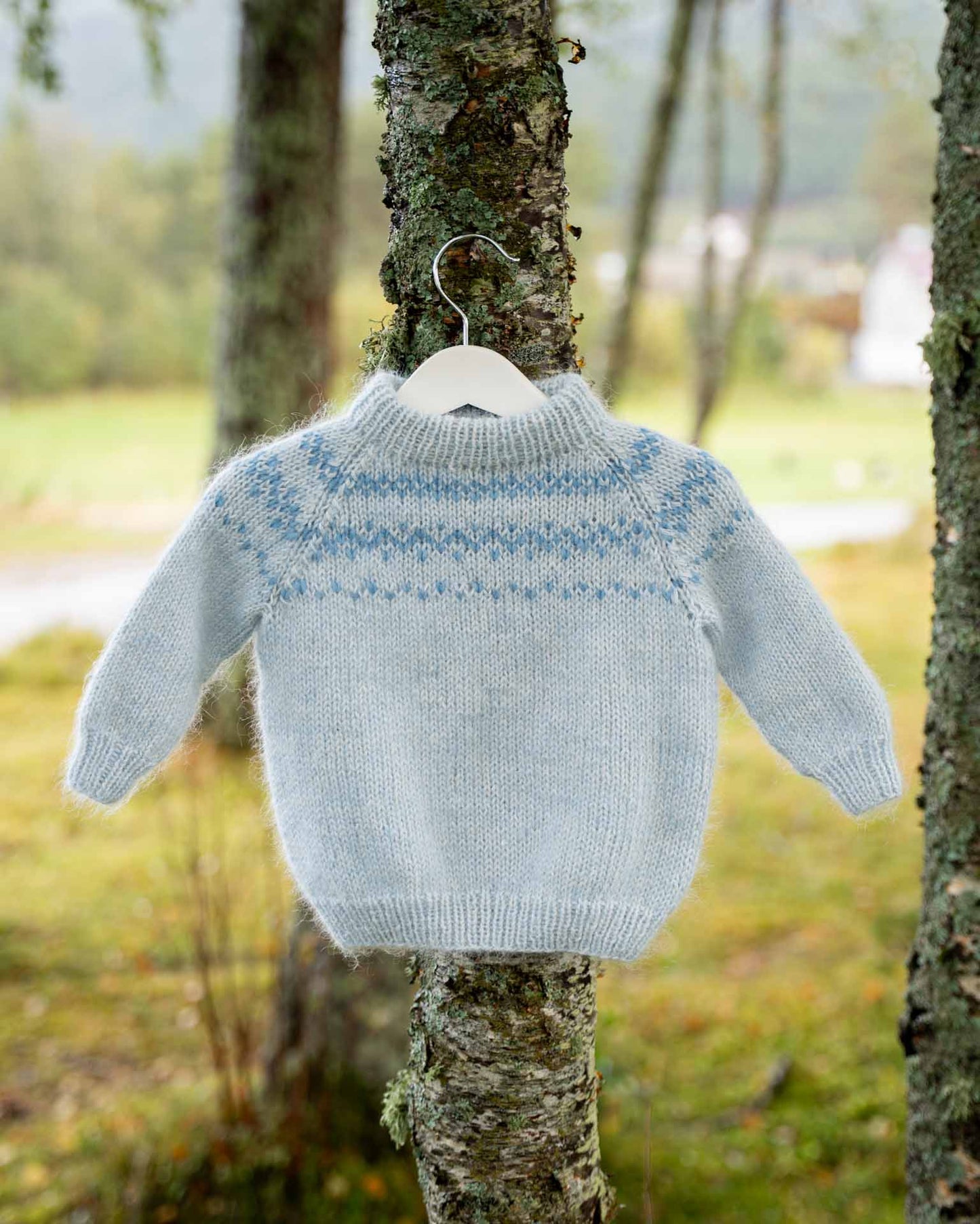 En myk og deilig genser som strikkes nedenfra og opp med raglanfellinger.&nbsp;
Genseren strikkes i dobbelt eller trippelt garn med  et lekkert lusemønster. Her i en nydeligblåfarge og en perfekt genser for gutter.