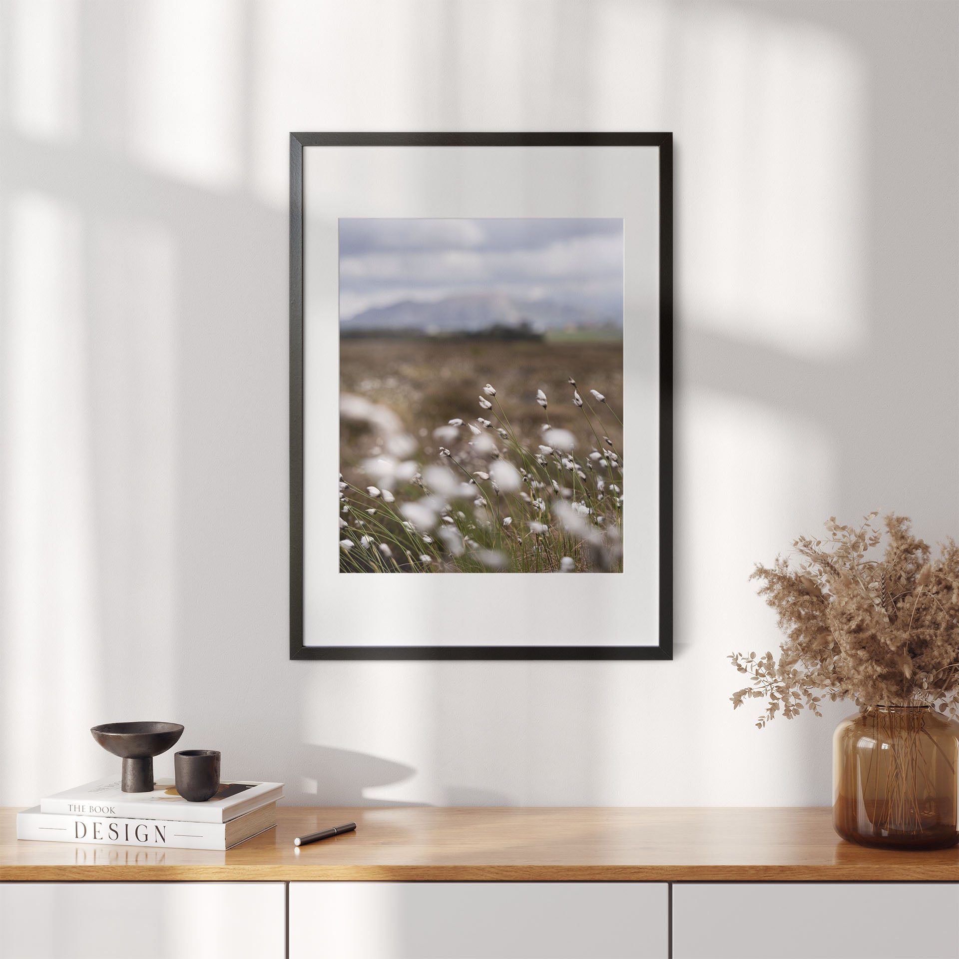 Fotografi av myrull i en myr på Sunnmøre. Poster - Plakat