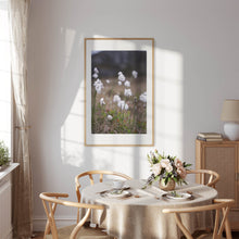 Last inn bildet i Galleri-visningsprogrammet, Fotografi av myrull - poster - plakat
