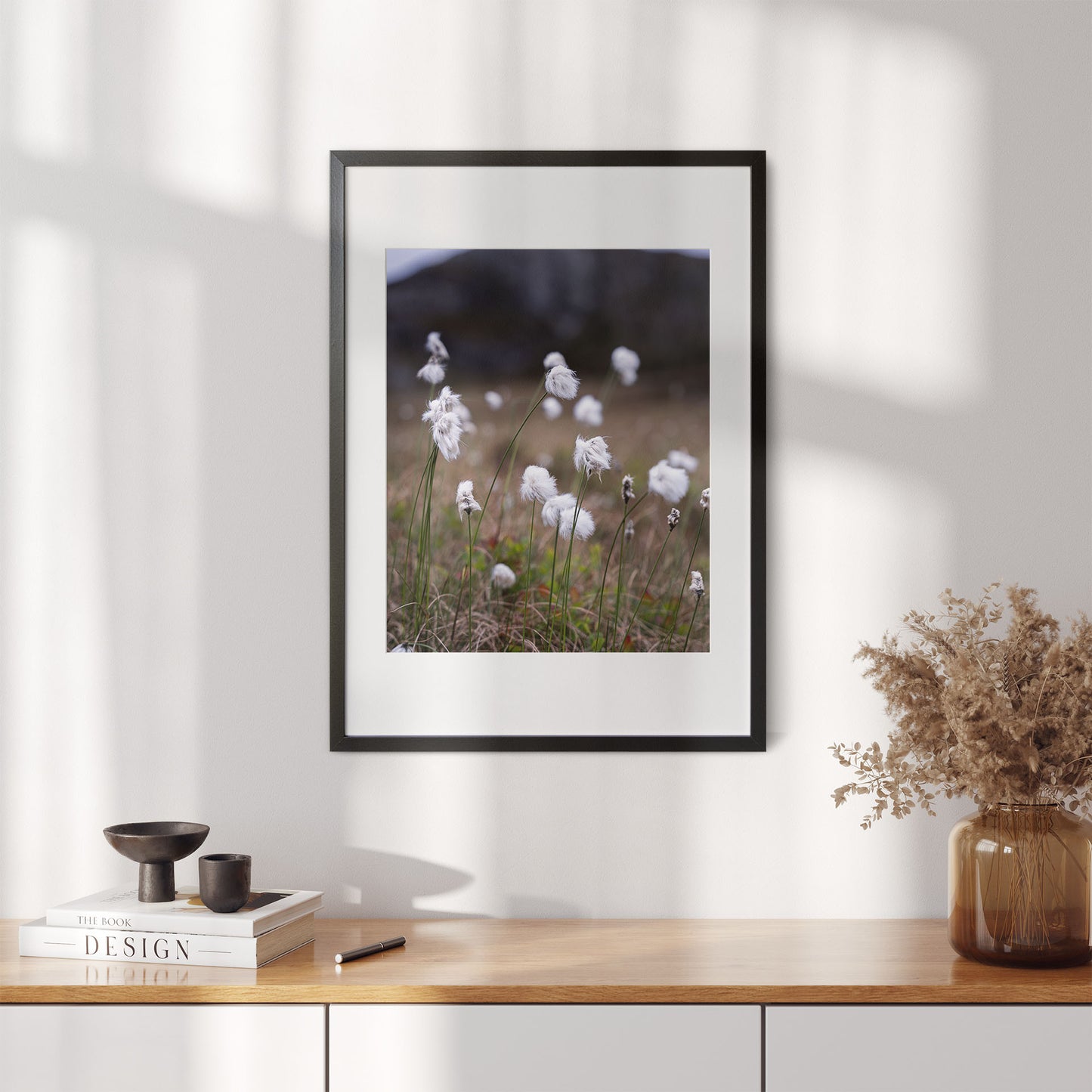 Fotografi av myrull - poster - plakat