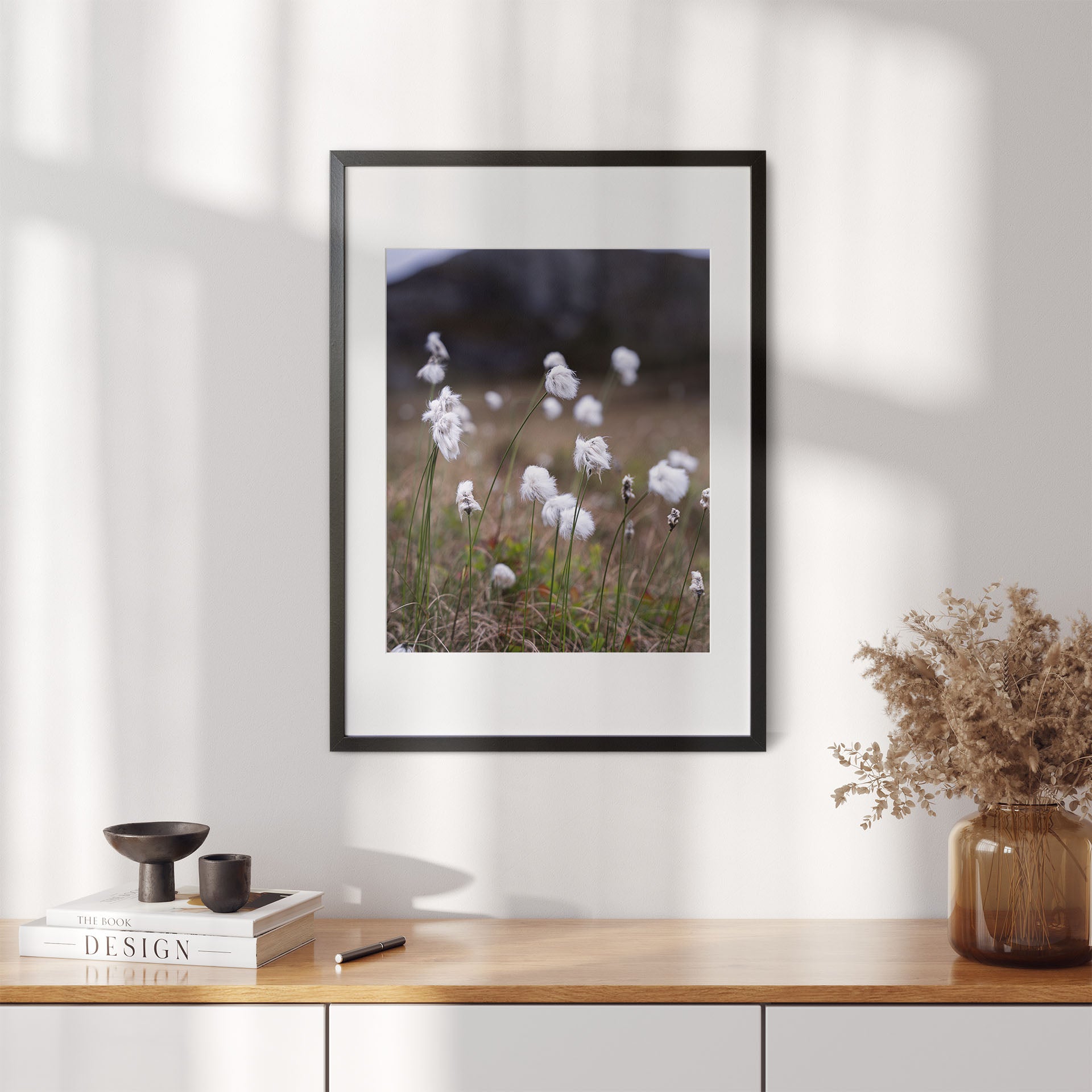 Fotografi av myrull - poster - plakat