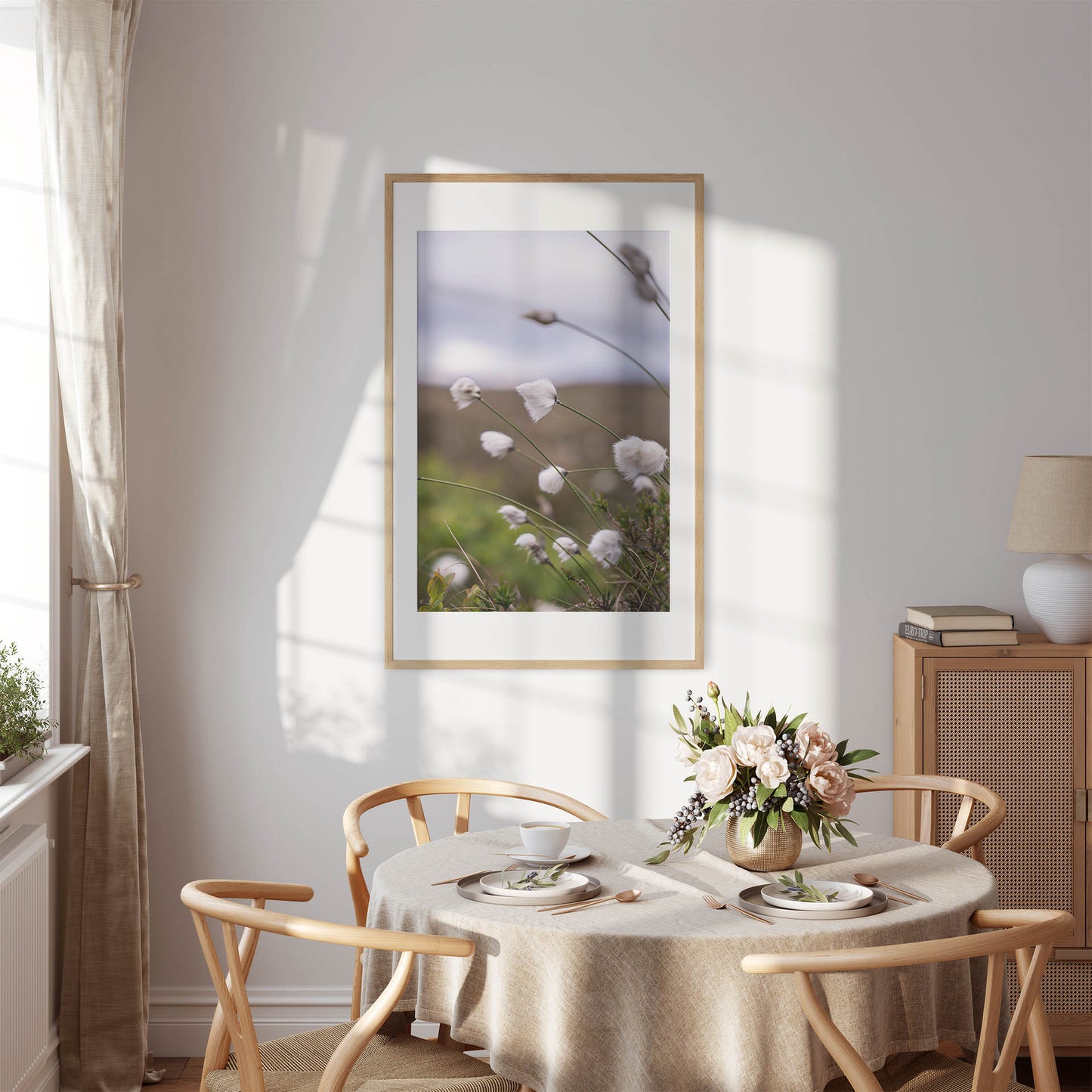 Fotografi - Nærbilde av myrull fra en myrullsmyr på Sunnmøre. Poster - Plakat.