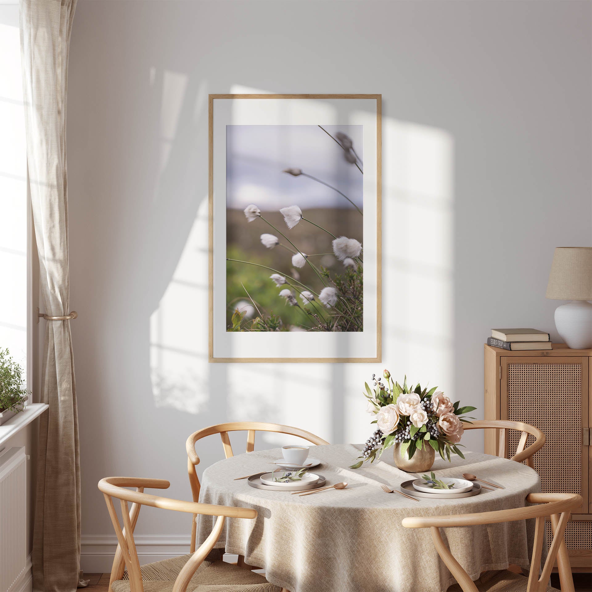 Fotografi - Nærbilde av myrull fra en myrullsmyr på Sunnmøre. Poster - Plakat.