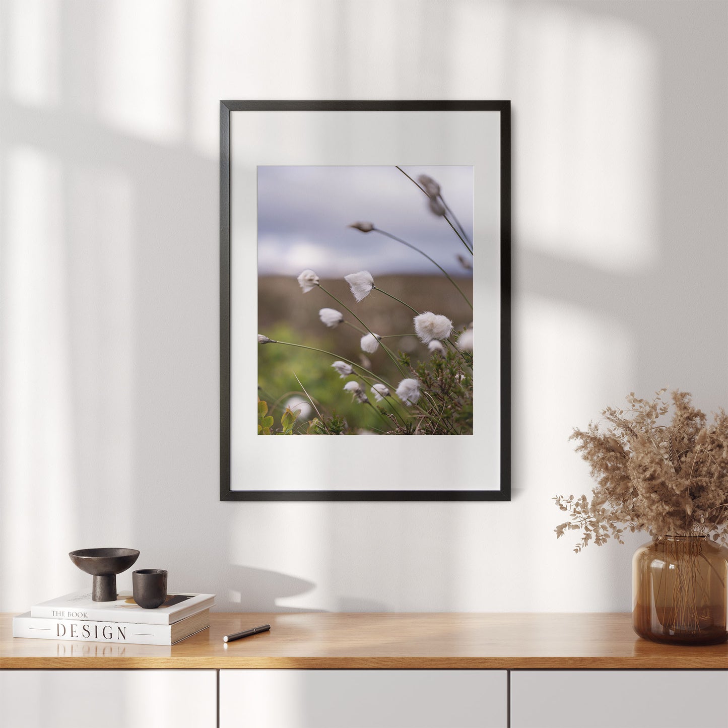 Fotografi - Nærbilde av myrull fra en myrullsmyr på Sunnmøre. Poster - Plakat.