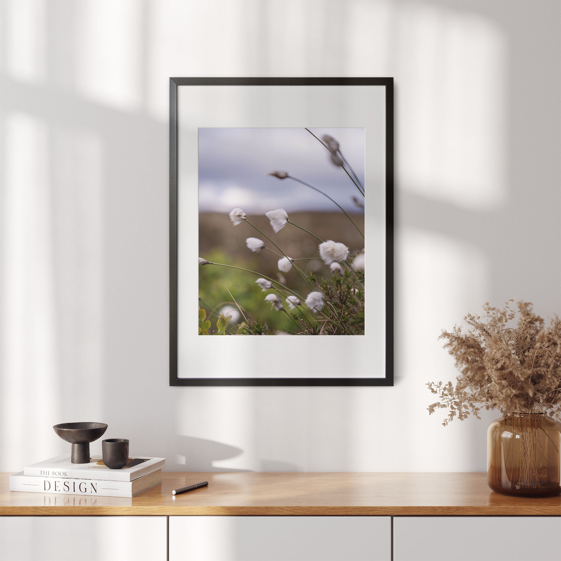 Fotografi - Nærbilde av myrull fra en myrullsmyr på Sunnmøre. Poster - Plakat.