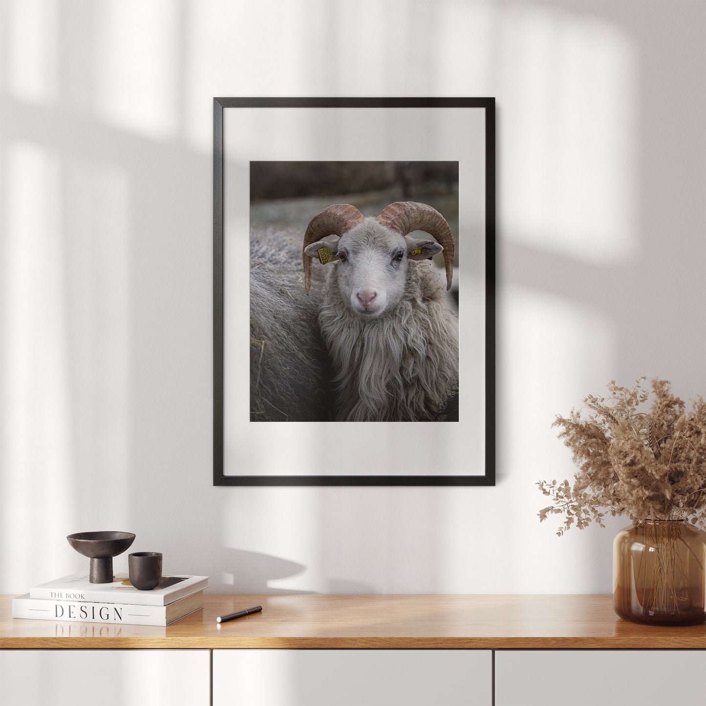Norsk Villsau - Fotokunst - Plakat - poster - fotografi