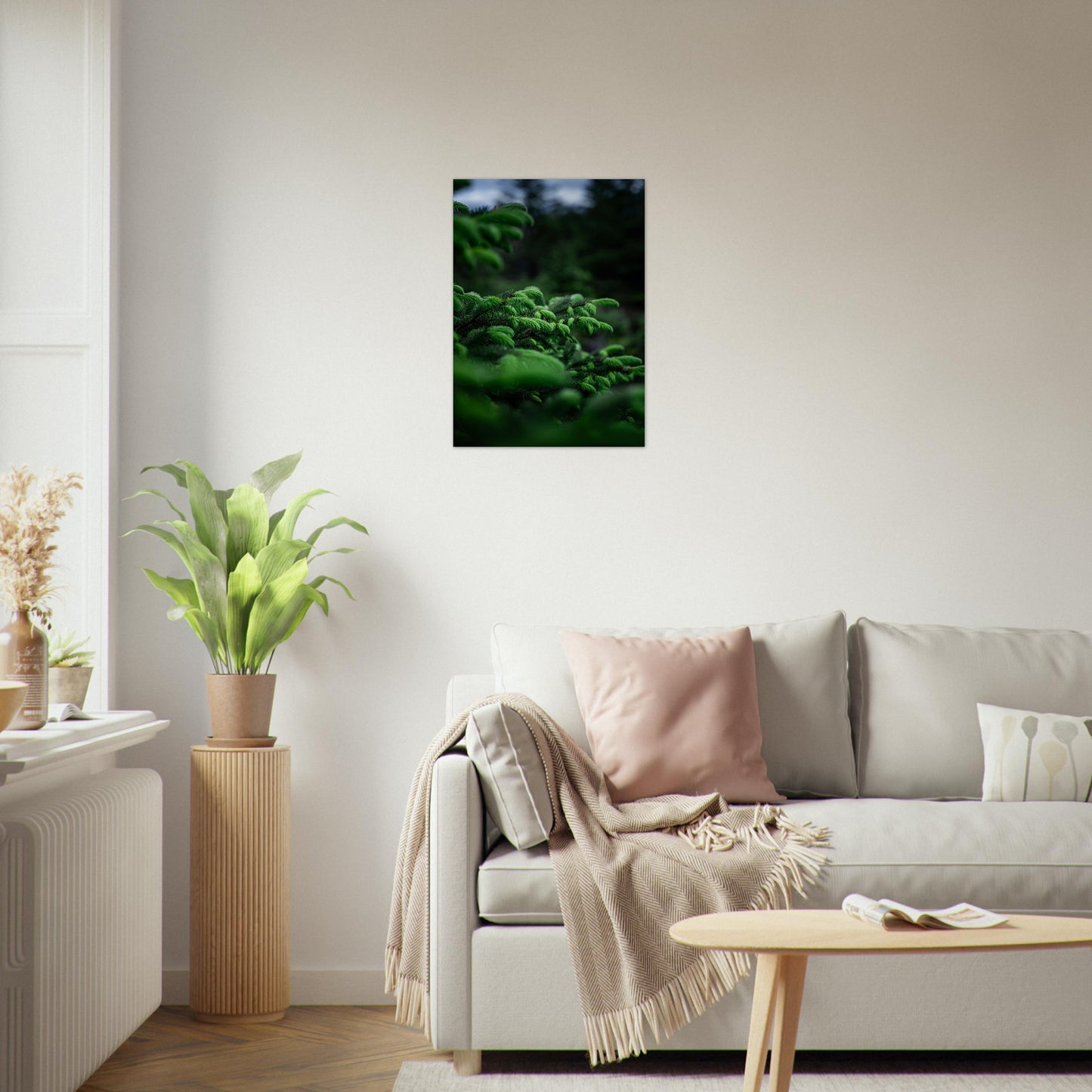 Fotografi av nye granskudd. Poster - Plakat - gran - Grønn 50x70