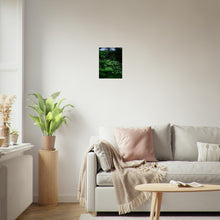 Last inn bildet i Galleri-visningsprogrammet, Fotografi av nye granskudd. Poster - Plakat - gran - Grønn 30x40
