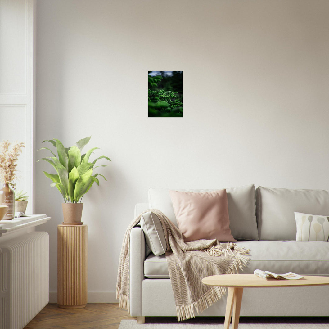 Fotografi av nye granskudd. Poster - Plakat - gran - Grønn 30x40