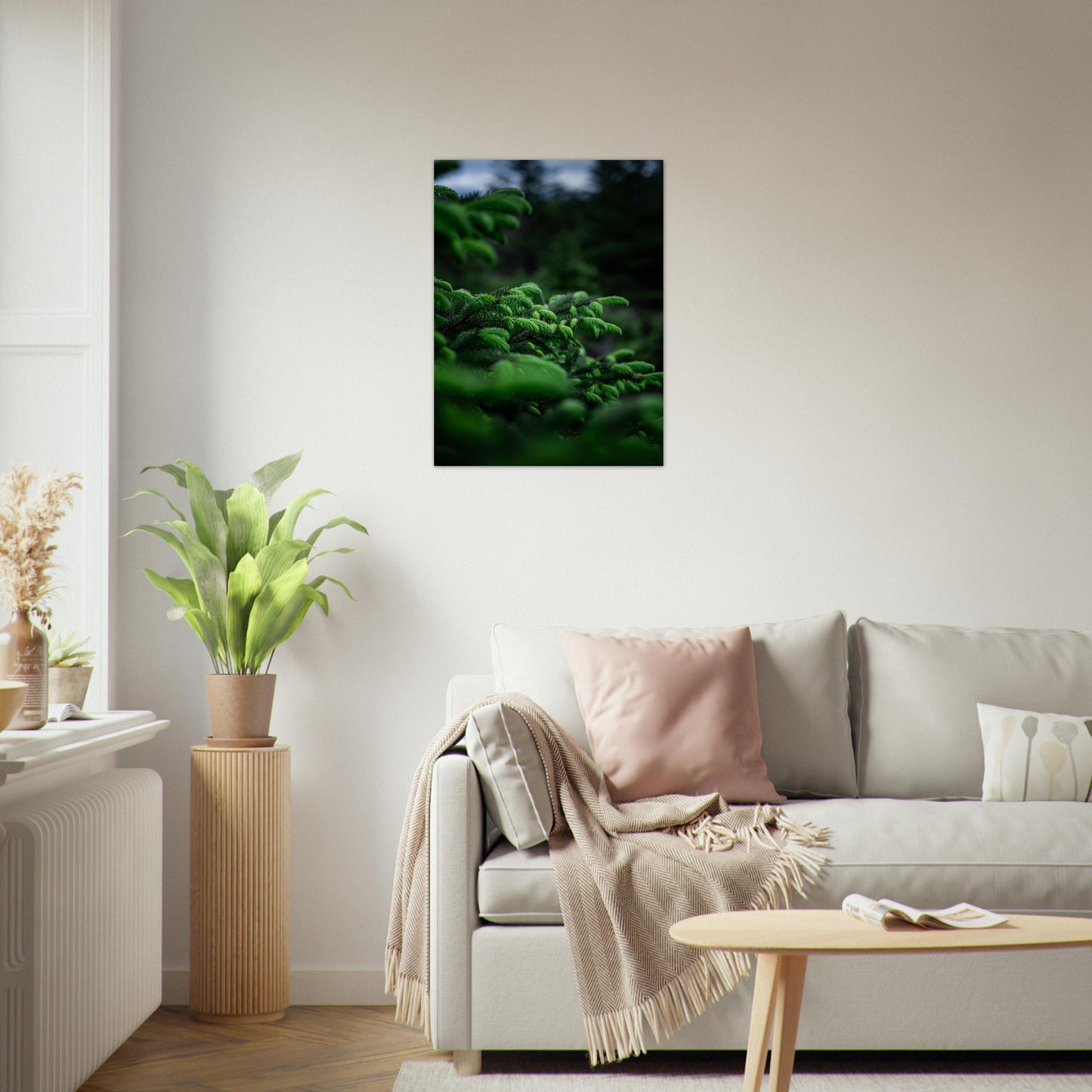 Fotografi av nye granskudd. Poster - Plakat - gran - Grønn 60x80