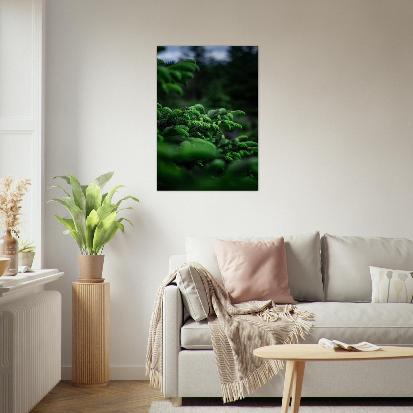 Fotografi av nye granskudd. Poster - Plakat - gran - Grønn 70x100