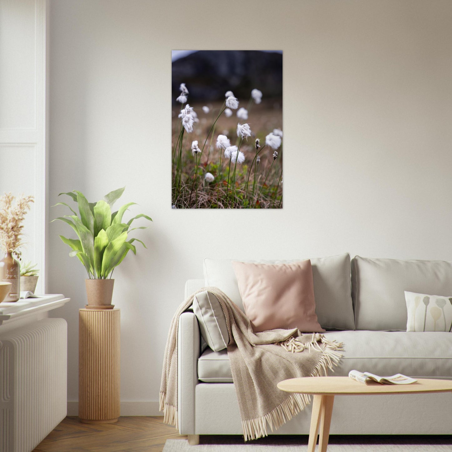 Fotografi av myrull - poster - plakat 70x100