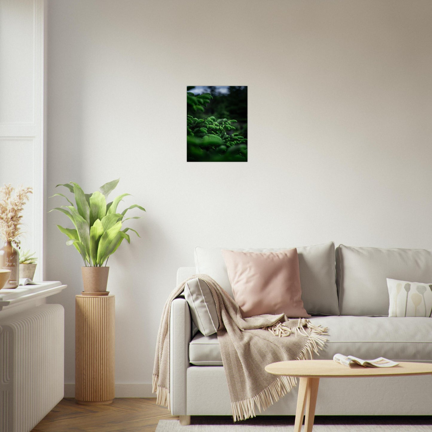 Fotografi av nye granskudd. Poster - Plakat - gran - Grønn 40x50