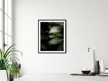 Last inn bildet i Galleri-visningsprogrammet, Blader nr.5 | Fotokunst | Plakat | Poster | Veggkunst | Mørkegrønn
