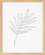 Last inn bildet i Galleri-visningsprogrammet, Palmegren Nr.2 | Line Art | Plakat | Poster | Abstrakt | Kunst
