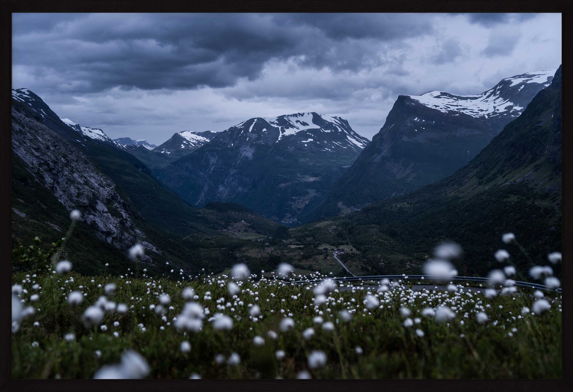 Fotoplakat - Landskapsbilde Fotografi fra Geiranger med myrull i forgrunnen.