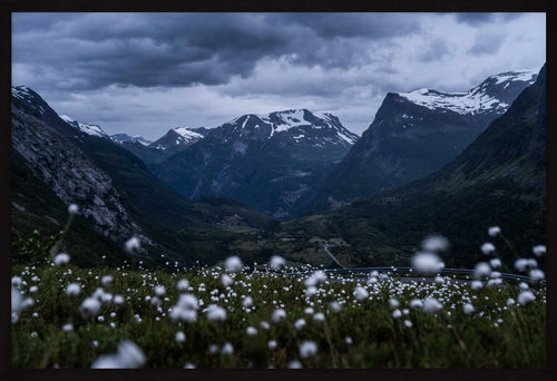 Fotoplakat - Landskapsbilde Fotografi fra Geiranger med myrull i forgrunnen.