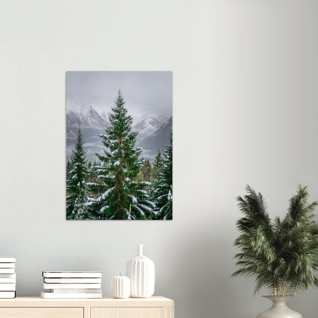 Granen | Fotokunst | Plakat | Poster | Veggkunst