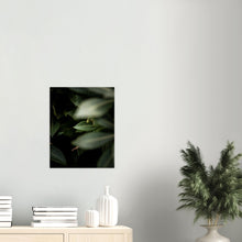 Last inn bildet i Galleri-visningsprogrammet, Blader nr.5 | Fotokunst | Plakat | Poster | Veggkunst | Mørkegrønn
