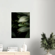 Last inn bildet i Galleri-visningsprogrammet, Blader nr.5 | Fotokunst | Plakat | Poster | Veggkunst | Mørkegrønn
