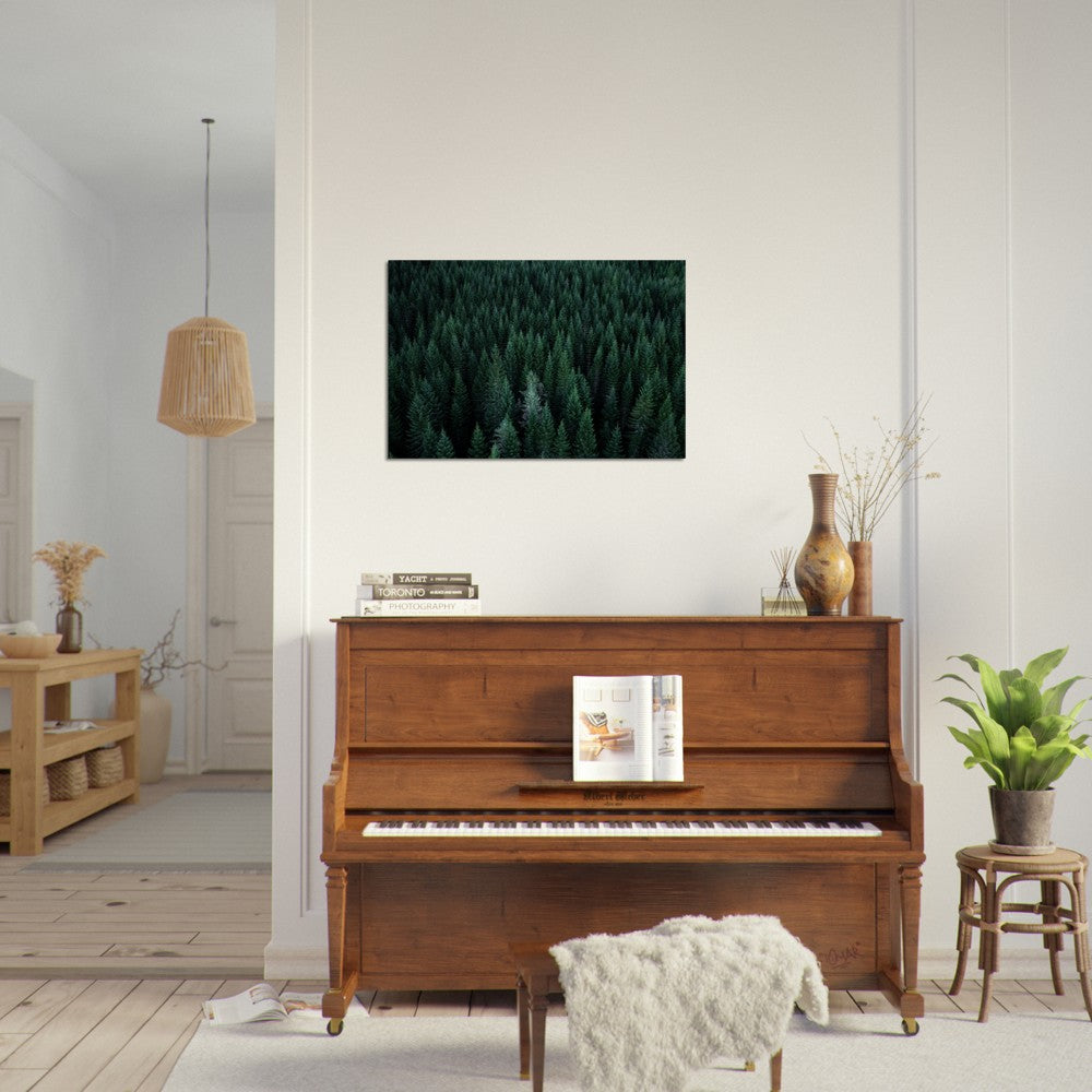 Skogen | Fotokunst | Plakat | Poster | Fotografi | Granskog