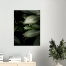 Last inn bildet i Galleri-visningsprogrammet, Blader nr.5 | Fotokunst | Plakat | Poster | Veggkunst | Mørkegrønn
