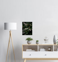 Last inn bildet i Galleri-visningsprogrammet, Blader No.7 | Fotokunst | Plakat
