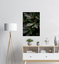 Last inn bildet i Galleri-visningsprogrammet, Blader nr.7 | Fotokunst | Plakat | Poster | Mørkegrønn | Veggkunst
