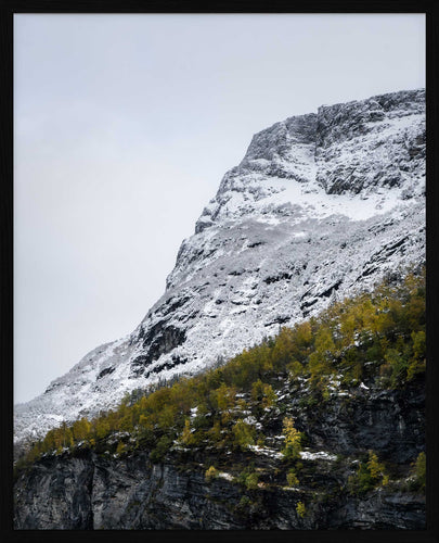 Høst til vinter | Fotokunst | Plakat | Poster | Veggkunst